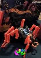 IMG20250928201138 ok